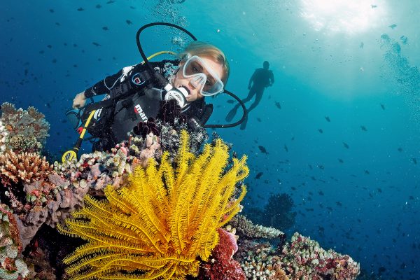 Frau entdeckt Korallen beim Tauchen